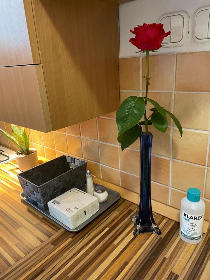 Magnolia Apartman ジュール エクステリア 写真