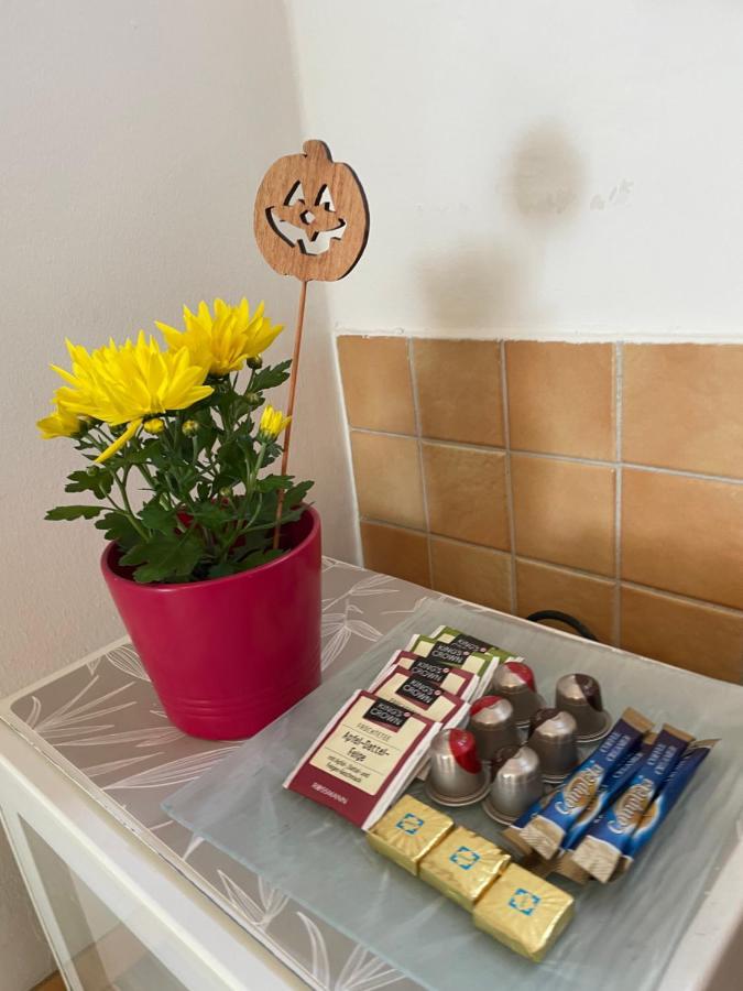 Magnolia Apartman ジュール エクステリア 写真